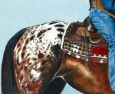 Western, Equine Art - Spots and Stripes